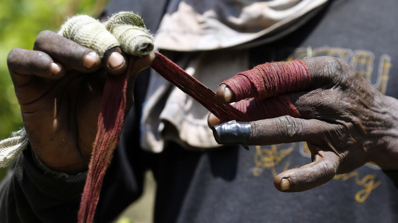Colombia registra máximos históricos de cultivos de hoja de coca y